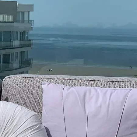 公寓 Penthouse William *